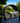 Ellington Sliding Garden Set
